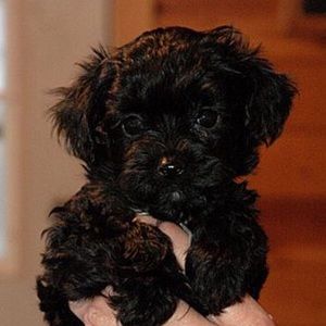 Meet your Posher, Kaitlyn